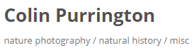 Colin Purington logo